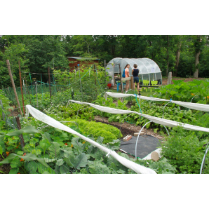 Visite des jardins secrets 2019-10