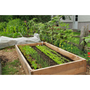 Visite des jardins secrets 2019-11
