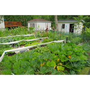 Visite des jardins secrets 2019-12