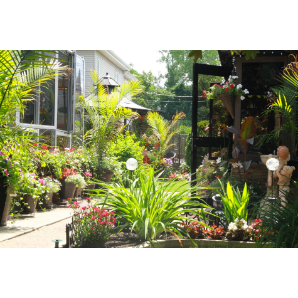 Visite des jardins secrets 2019-17