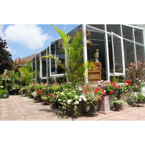 Visite des jardins secrets 2019-19