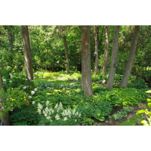 Visite des jardins secrets 2019-2