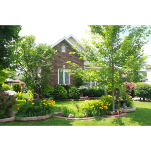 Visite des jardins secrets 2019-20