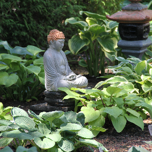 Visite des jardins secrets 2018-2