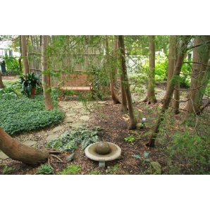 Visite des jardins secrets 2019-22