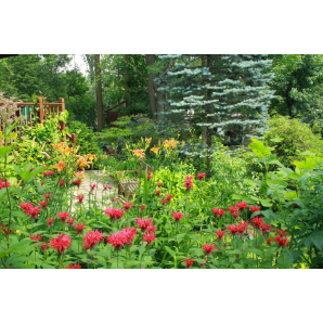 Visite des jardins secrets 2019-25