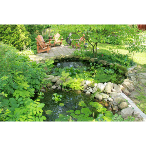 Visite des jardins secrets 2019-26