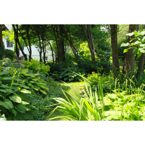 Visite des jardins secrets 2019-27