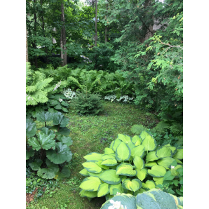 Visite des jardins secrets 2019-28