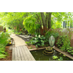 Visite des jardins secrets 2019-31