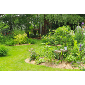 Visite des jardins secrets 2019-32