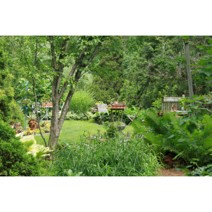 Visite des jardins secrets 2019-36