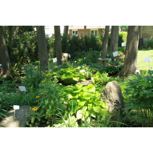 Visite des jardins secrets 2019-38