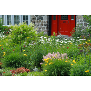 Visite des jardins secrets 2019-4