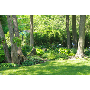 Visite des jardins secrets 2019-40