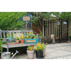 Visite des jardins secrets 2019-42