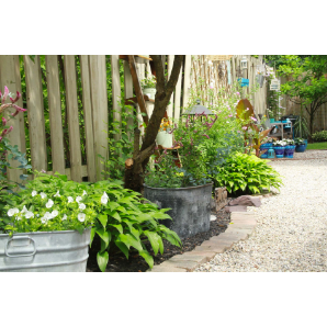 Visite des jardins secrets 2019-43