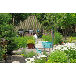 Visite des jardins secrets 2019-44