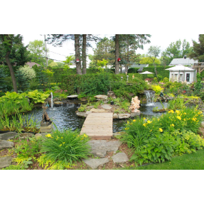 Visite des jardins secrets 2019-45