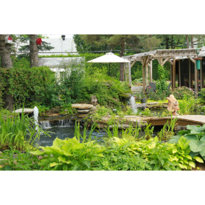 Visite des jardins secrets 2019-46