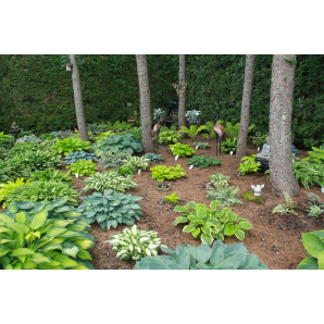 Visite des jardins secrets 2019-5