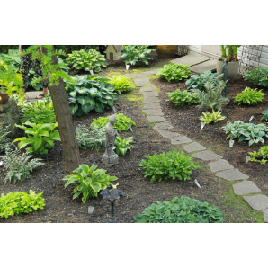 Visite des jardins secrets 2019-6