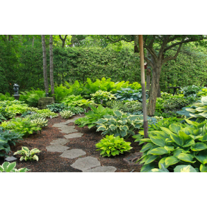 Visite des jardins secrets 2019-7