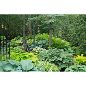 Visite des jardins secrets 2019-8