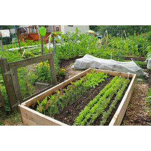 Visite des jardins secrets 2019-9