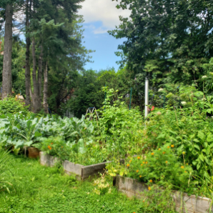 Visite virtuelle des jardins secrets - 2020-Martin Bertrand - Concord