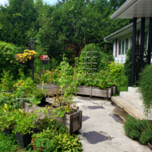 Visite virtuelle des jardins secrets - 2020-Martin Bertrand - Concord