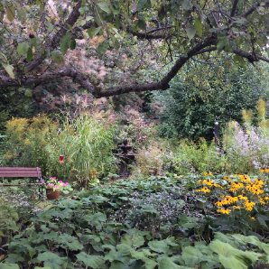 Visite virtuelle des jardins secrets - 2020 - Lydia Borecki - rue Tallwood