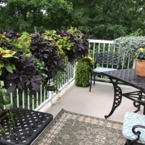 Visite virtuelle des jardins secrets - 2020-Christine-Chartier-rue des Villas