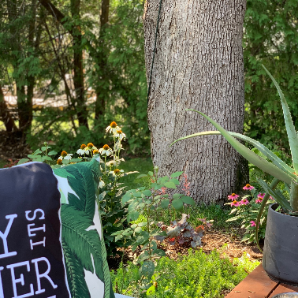 Visite virtuelle des jardins secrets - 2020-Stefania Chianetta-Montclair