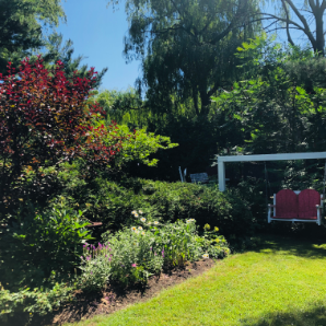 Visite virtuelle des jardins secrets - 2020 - Johanne Collins - rue Willowtree O