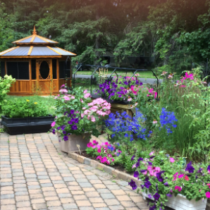 Visite virtuelle des jardins secrets - 2020-Danielle Dalcourt-rue Elm