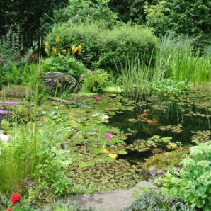 Visite virtuelle des jardins secrets - 2020 - Sylvie Dufort - rue Elizabeth