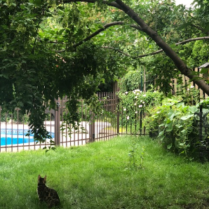 Visite virtuelle des jardins secrets - 2020-Judith Gagnon-du Vallon