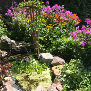 Visite virtuelle des jardins secrets - 2020 - Guylaine Gauthier - rue Labonté