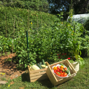 Visite virtuelle des jardins secrets - 2020-Mélanie Gilbert-Rosedale
