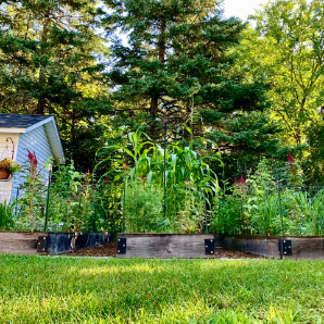Visite virtuelle des jardins secrets - 2020-Martine Gingras-Blanchard