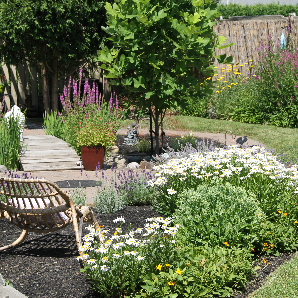 Visite des jardins secrets 2018-17