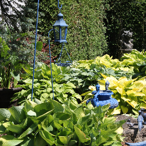 Visite des jardins secrets 2018-23