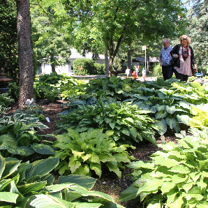 Visite des jardins secrets 2018-24
