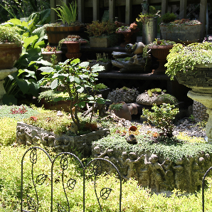 Visite des jardins secrets 2018-32