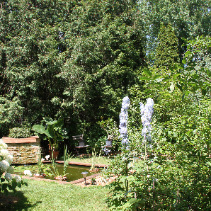 Visite des jardins secrets 2018-38