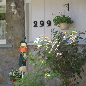 Visite des jardins secrets 2018-43