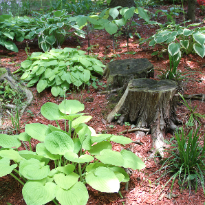 Visite des jardins secrets 2018-45
