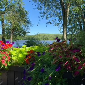 Visite virtuelle des jardins secrets - 2020-Josée Lupien-Skelton