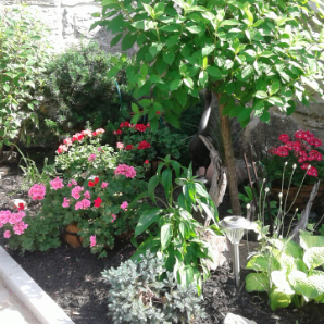 Visite virtuelle des jardins secrets - 2020-joan-lazurek-cheminmanoir